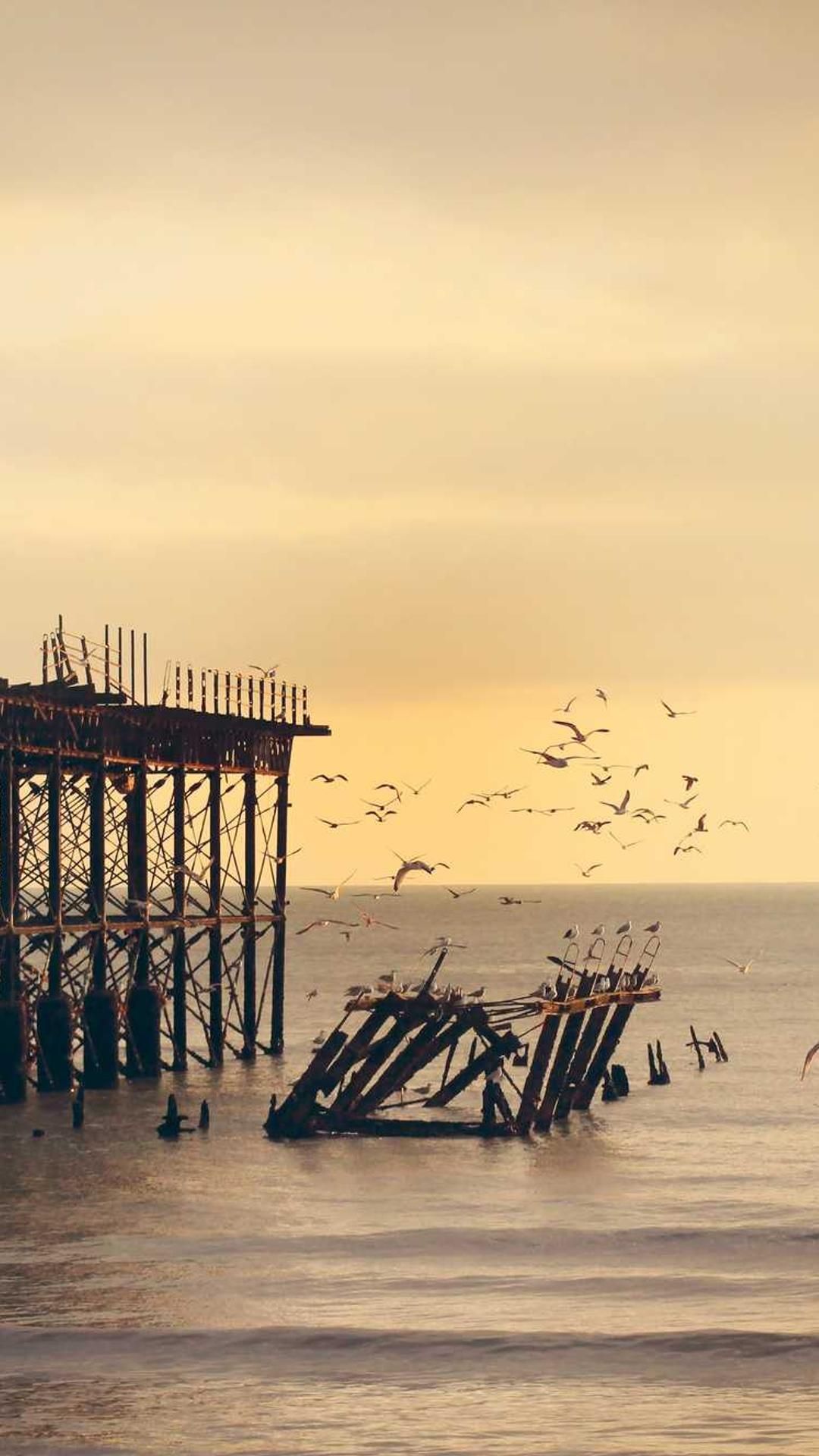 vindico depereo cetera