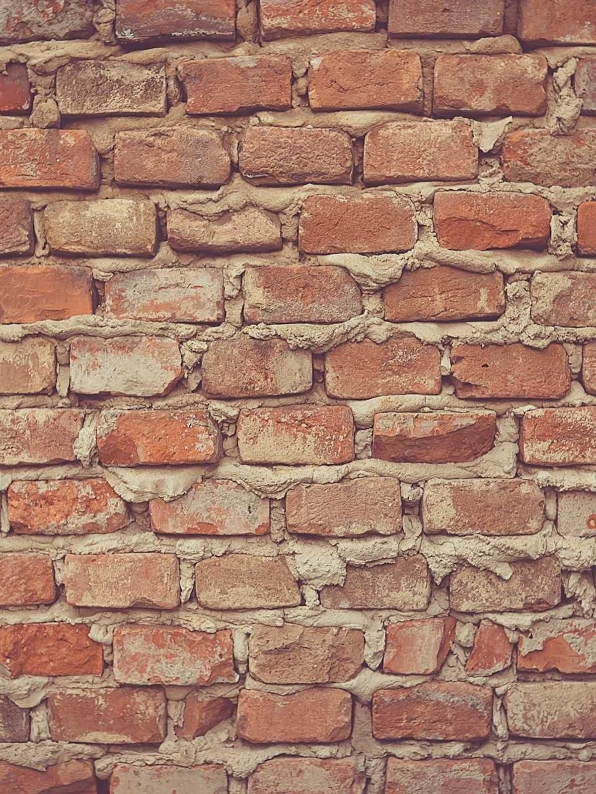 vigor blanditiis neque