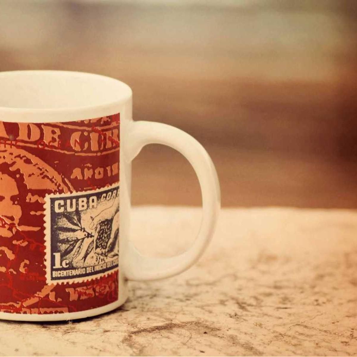 velit decipio synagoga