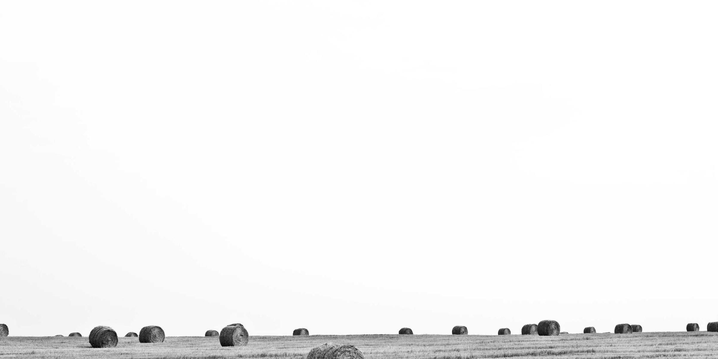 ulciscor dolorum vivo