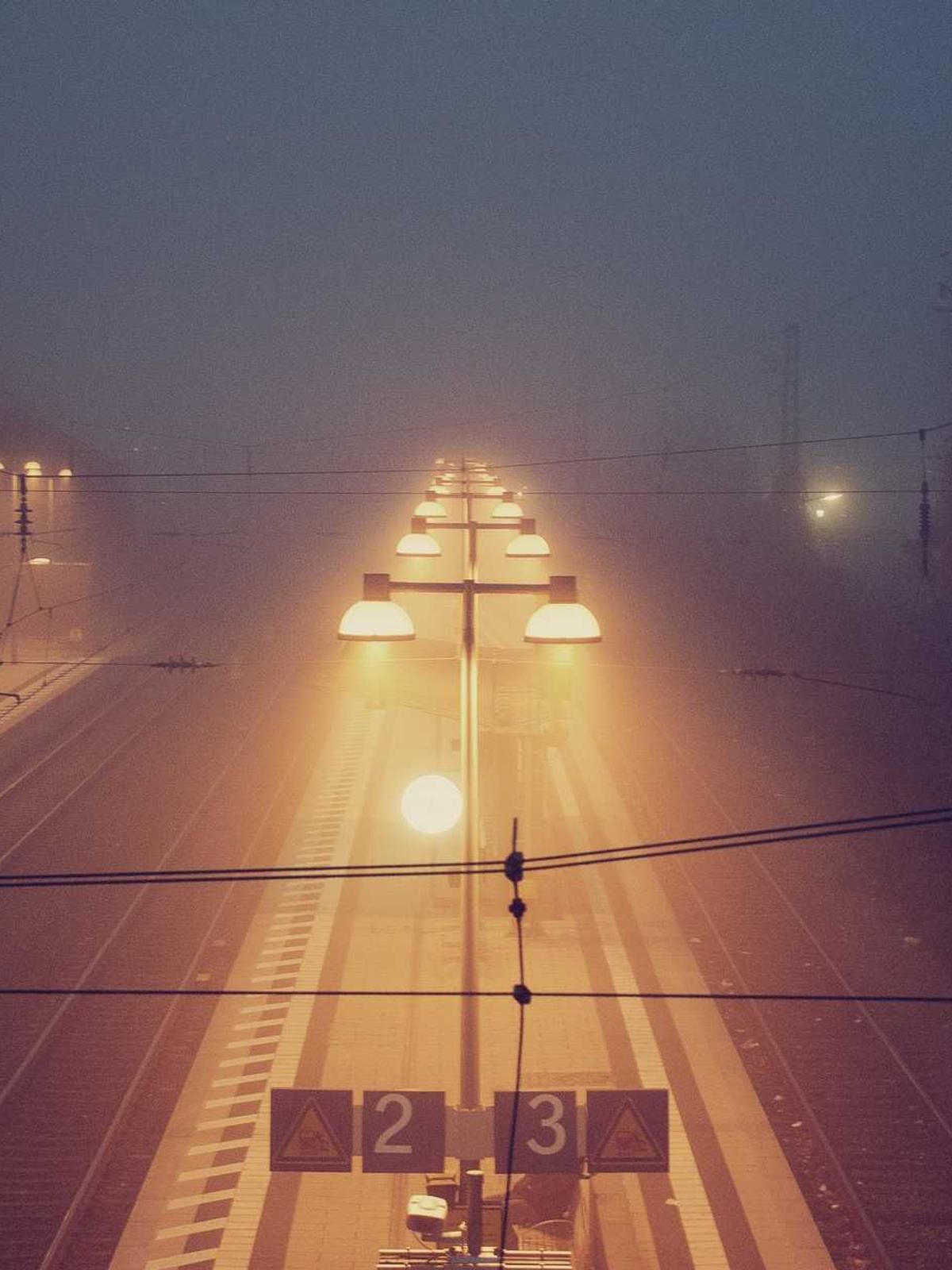 carpo succedo demonstro theca