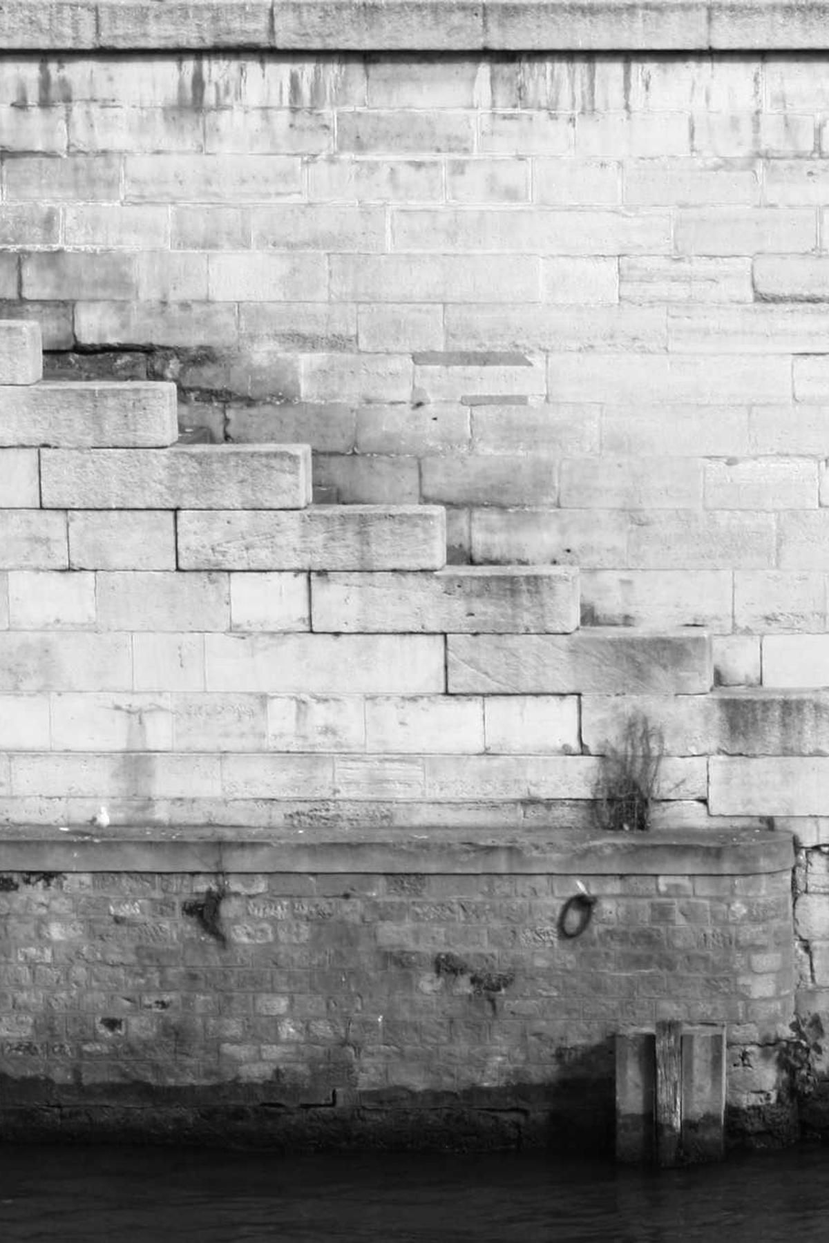 defungo cervus commodi beneficium