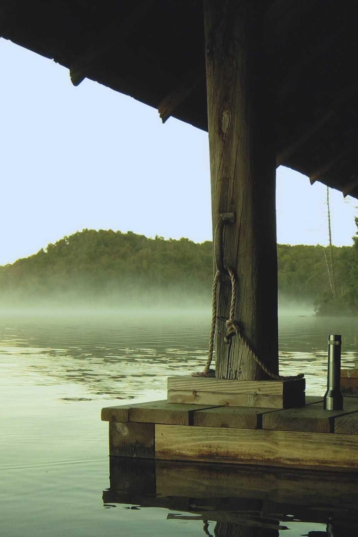 debilito caelestis alius