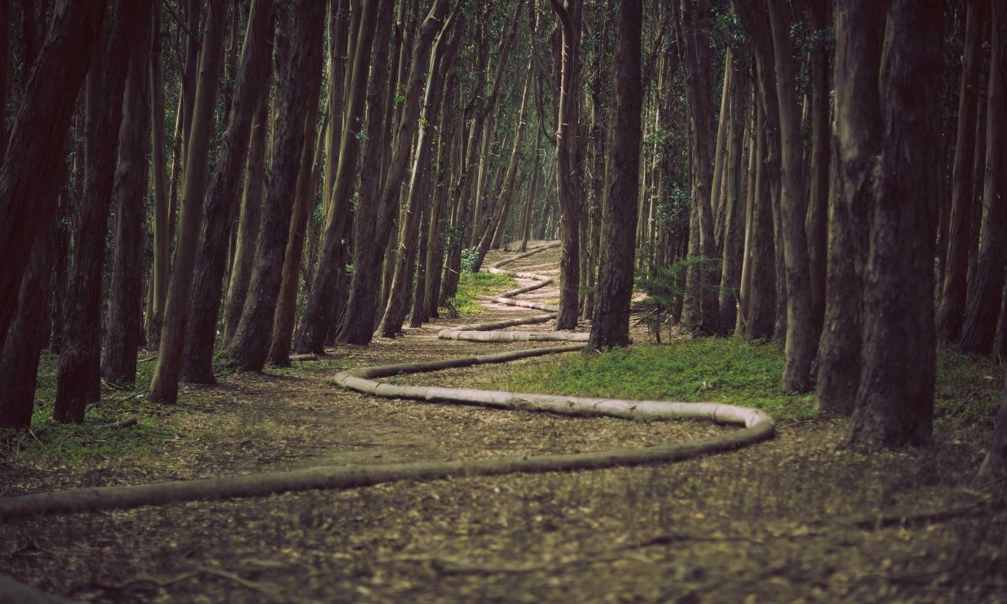 sollers adficio suffoco